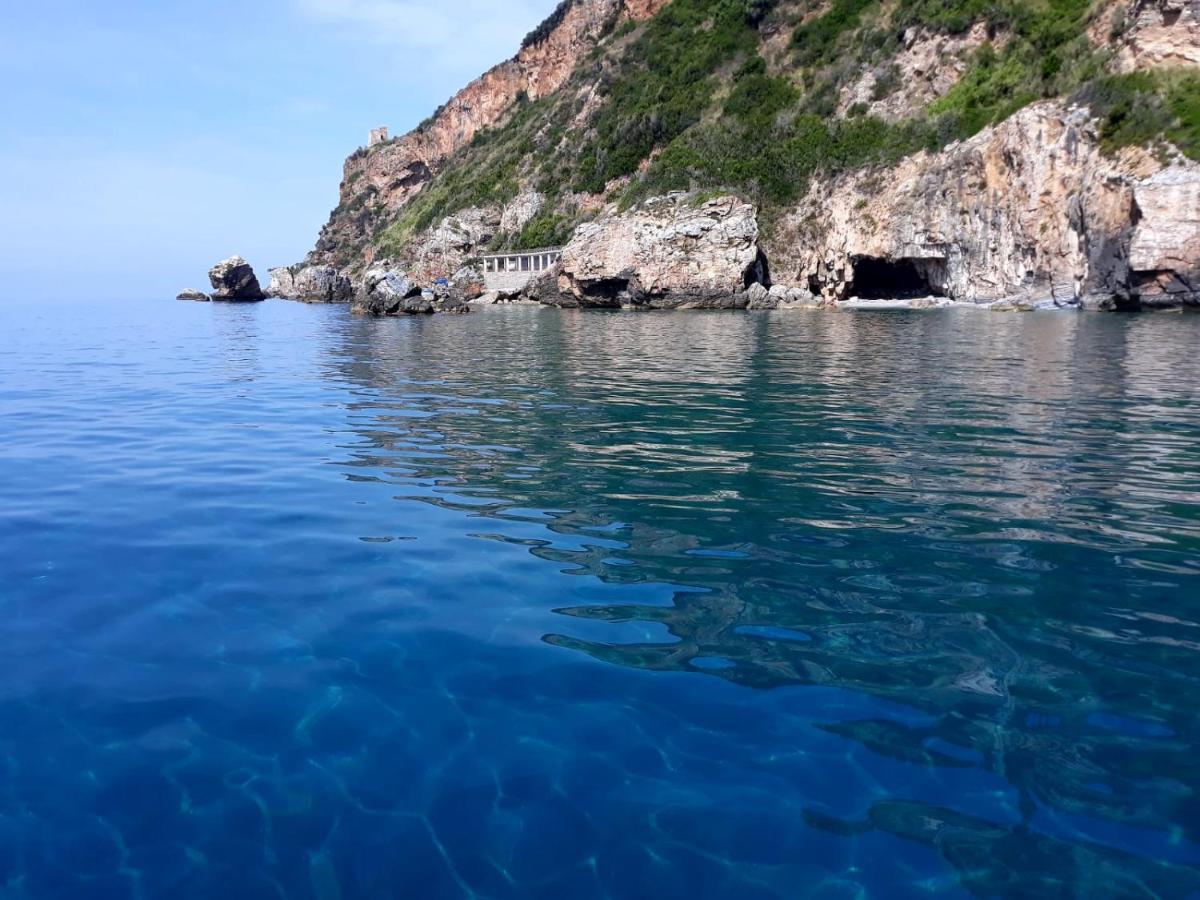 B&B Mediterraneo 切特拉罗 外观 照片