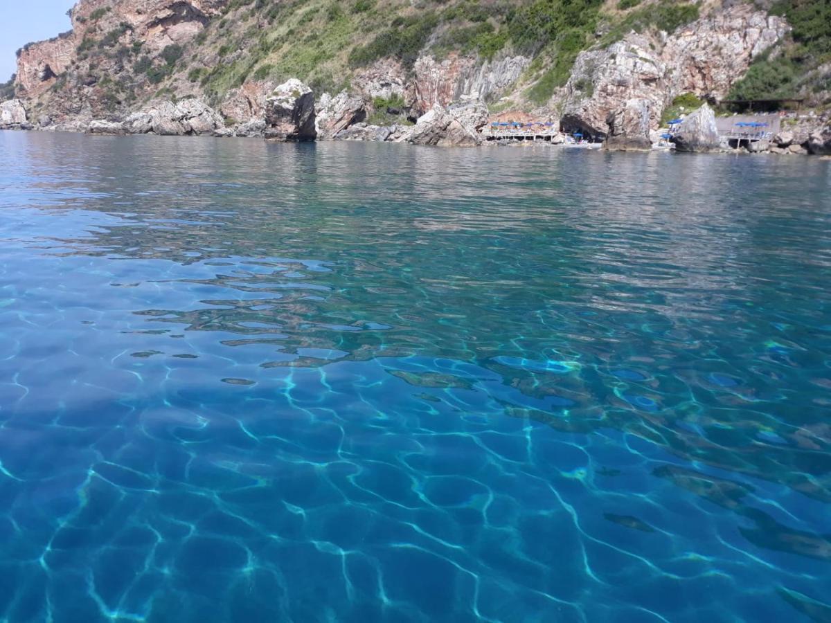 B&B Mediterraneo 切特拉罗 外观 照片